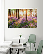 Obraz Lesné kvety 1787